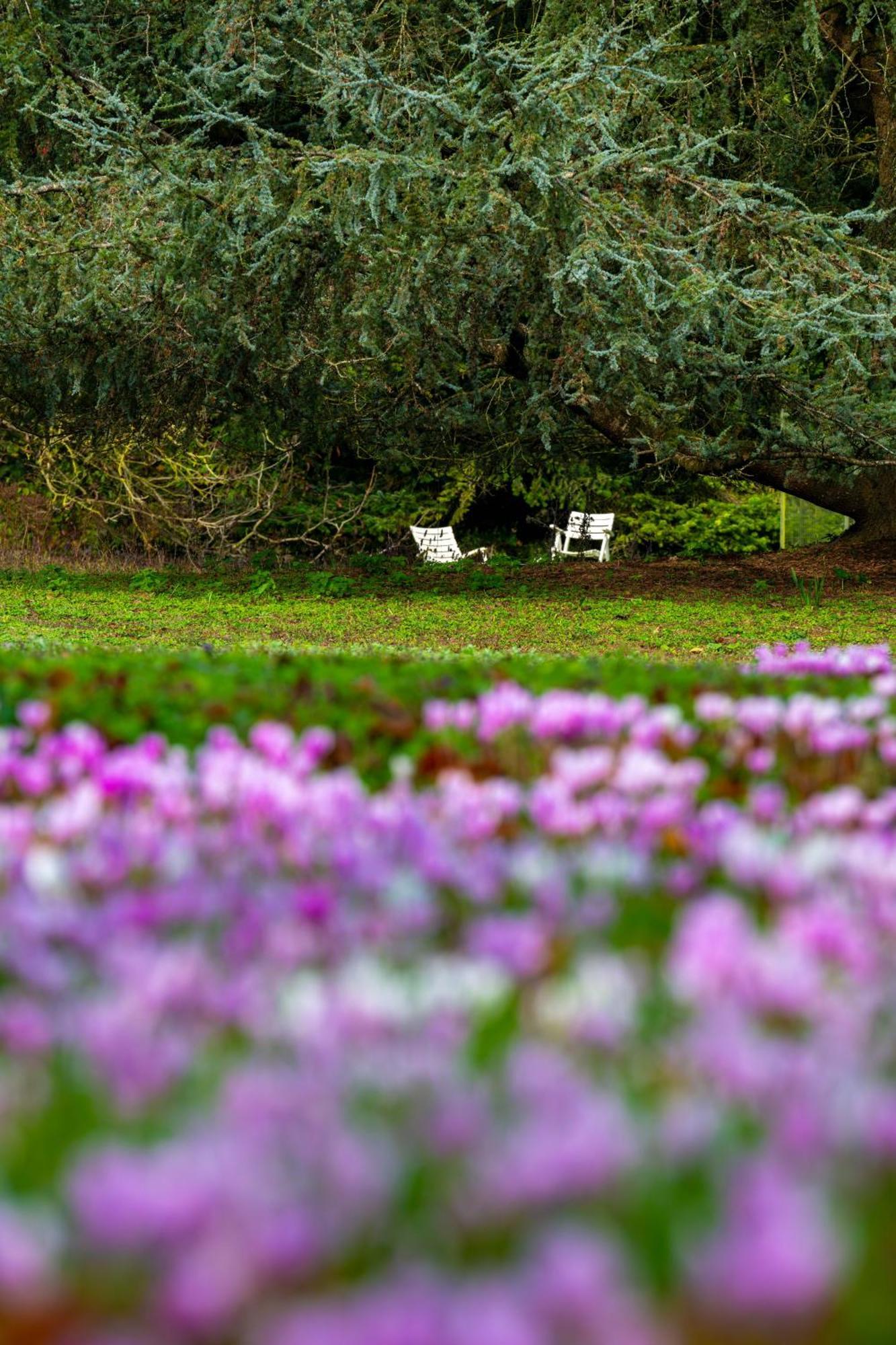 Relais Du Bois Saint Georges - Hotel De Charme Saintes Εξωτερικό φωτογραφία